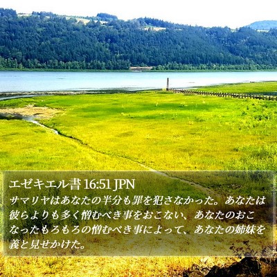 エゼキエル書 16:51 JPN Bible Verse Image