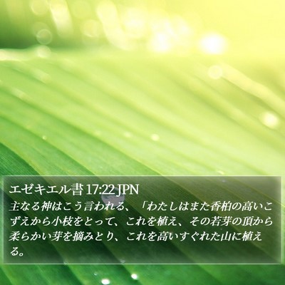 エゼキエル書 17:22 JPN Bible Verse Image