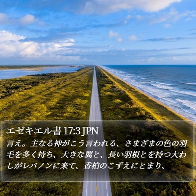 エゼキエル書 17:3 JPN Bible Verse Image