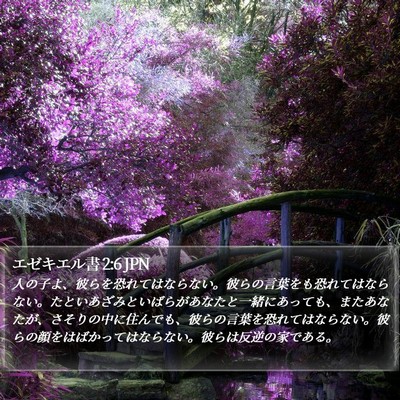 エゼキエル書 2:6 JPN Bible Verse Image