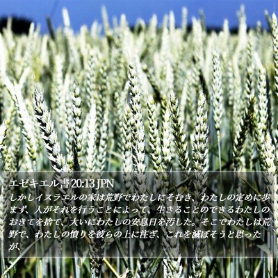 エゼキエル書 20:13 JPN Bible Verse Image