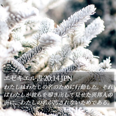 エゼキエル書 20:14 JPN Bible Verse Image