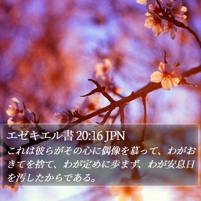 エゼキエル書 20:16 JPN Bible Verse Image
