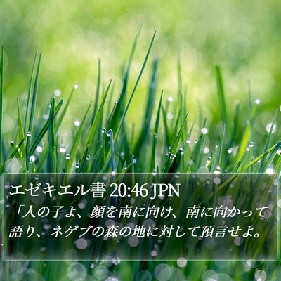 エゼキエル書 20:46 JPN Bible Verse Image