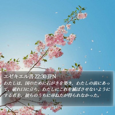 エゼキエル書 22:30 JPN Bible Verse Image