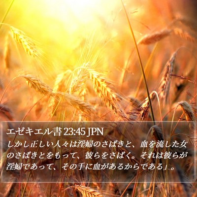 エゼキエル書 23:45 JPN Bible Verse Image