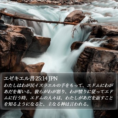 エゼキエル書 25:14 JPN Bible Verse Image