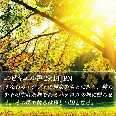 エゼキエル書 29:14 JPN Bible Verse Image