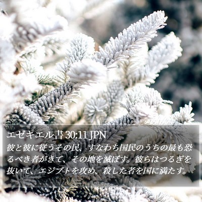 エゼキエル書 30:11 JPN Bible Verse Image