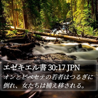 エゼキエル書 30:17 JPN Bible Verse Image