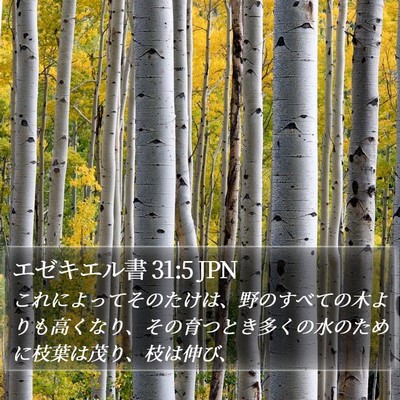 エゼキエル書 31:5 JPN Bible Verse Image