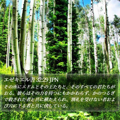 エゼキエル書 32:29 JPN Bible Verse Image
