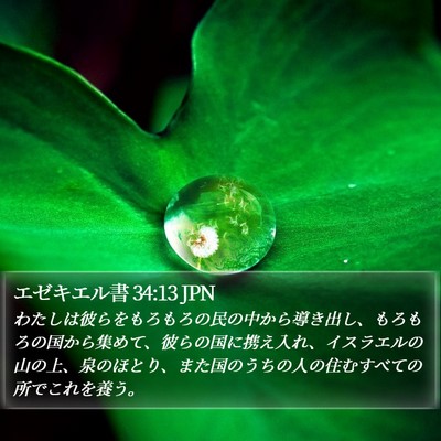 エゼキエル書 34:13 JPN Bible Verse Image
