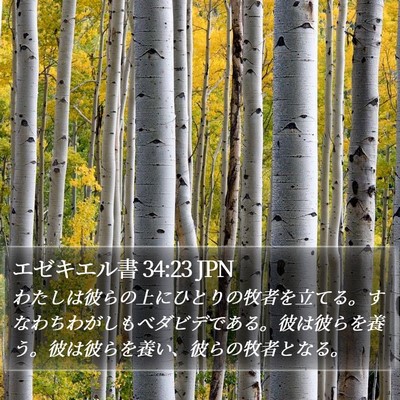 エゼキエル書 34:23 JPN Bible Verse Image