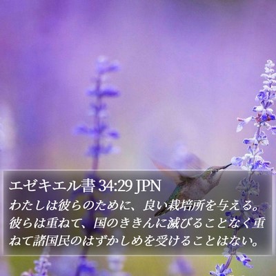 エゼキエル書 34:29 JPN Bible Verse Image