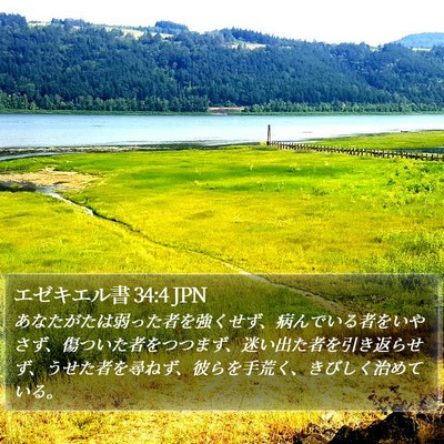 エゼキエル書 34:4 JPN Bible Verse Image