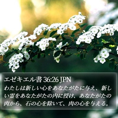 エゼキエル書 36:26 JPN Bible Verse Image
