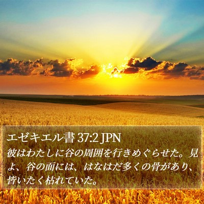 エゼキエル書 37:2 JPN Bible Verse Image