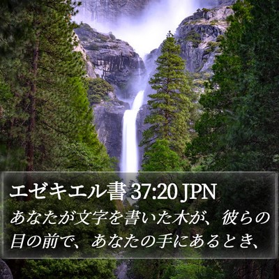 エゼキエル書 37:20 JPN Bible Verse Image