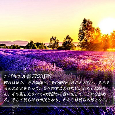 エゼキエル書 37:23 JPN Bible Verse Image