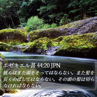 エゼキエル書 44:20 JPN Bible Verse Image
