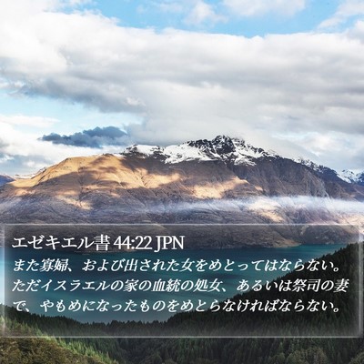 エゼキエル書 44:22 JPN Bible Verse Image