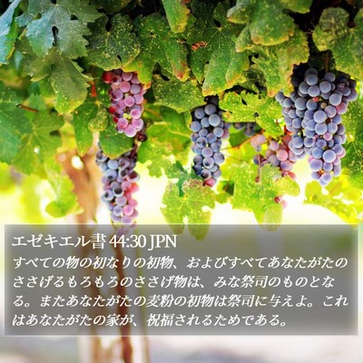 エゼキエル書 44:30 JPN Bible Verse Image