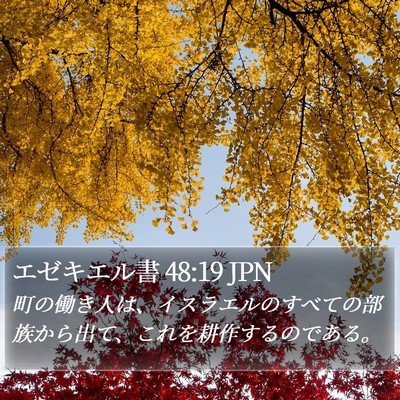 エゼキエル書 48:19 JPN Bible Verse Image