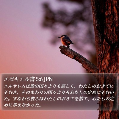 エゼキエル書 5:6 JPN Bible Verse Image