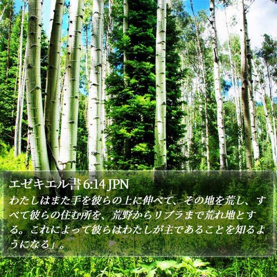 エゼキエル書 6:14 JPN Bible Verse Image