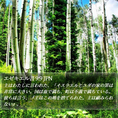 エゼキエル書 9:9 JPN Bible Verse Image