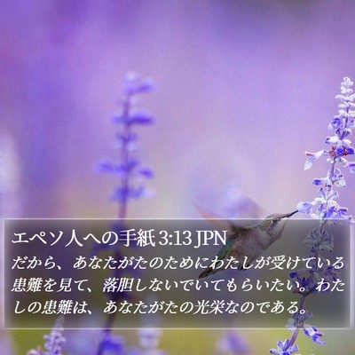 エペソ人への手紙 3:13 JPN Bible Verse Image