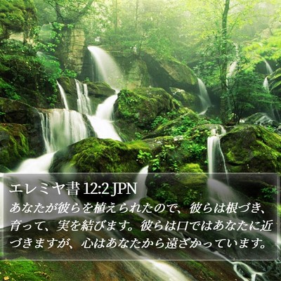 エレミヤ書 12:2 JPN Bible Verse Image
