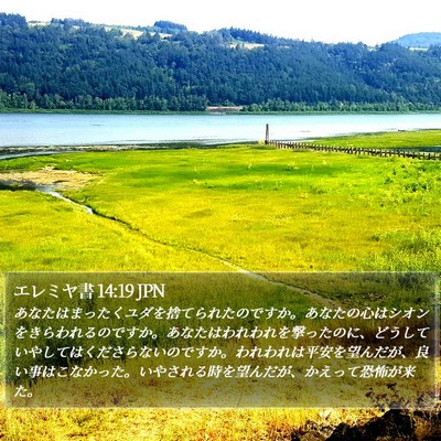 エレミヤ書 14:19 JPN Bible Verse Image