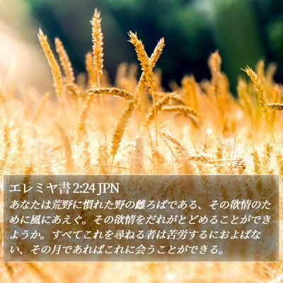 エレミヤ書 2:24 JPN Bible Verse Image