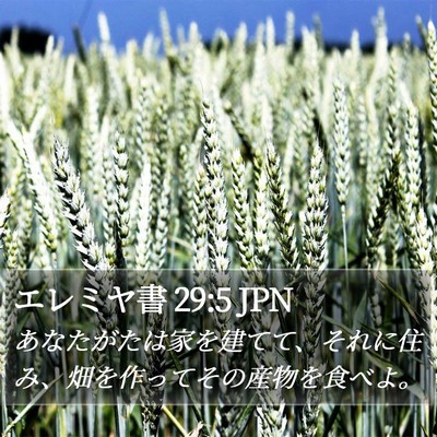 エレミヤ書 29:5 JPN Bible Verse Image