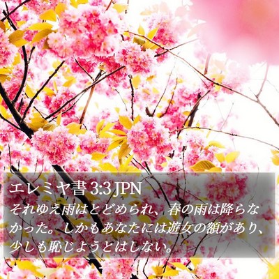 エレミヤ書 3:3 JPN Bible Verse Image