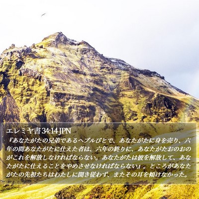 エレミヤ書 34:14 JPN Bible Verse Image