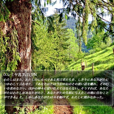 エレミヤ書 35:15 JPN Bible Verse Image