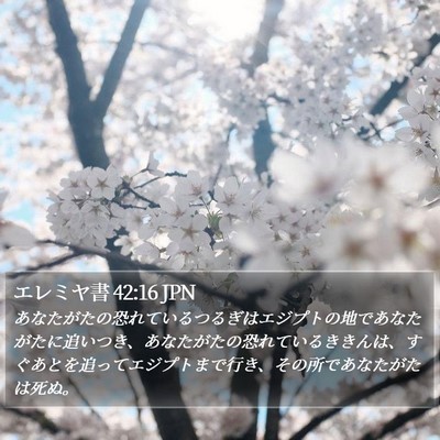 エレミヤ書 42:16 JPN Bible Verse Image