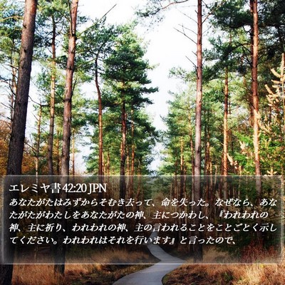 エレミヤ書 42:20 JPN Bible Verse Image