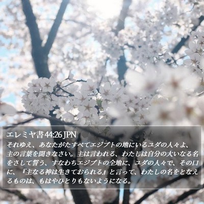 エレミヤ書 44:26 JPN Bible Verse Image