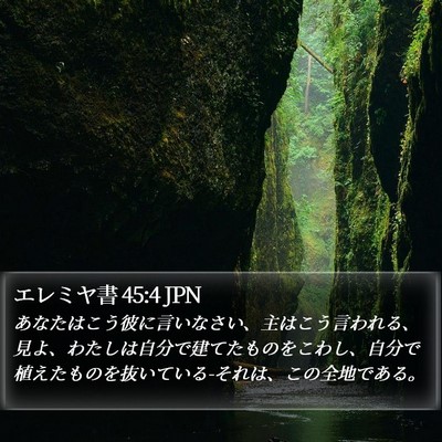 エレミヤ書 45:4 JPN Bible Verse Image