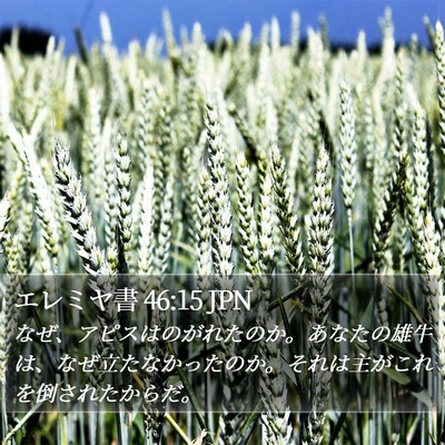 エレミヤ書 46:15 JPN Bible Verse Image