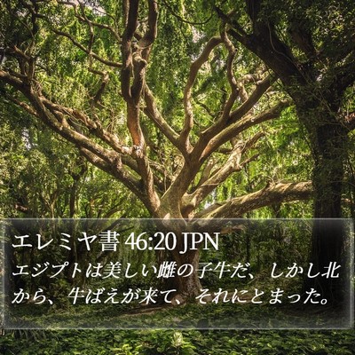 エレミヤ書 46:20 JPN Bible Verse Image
