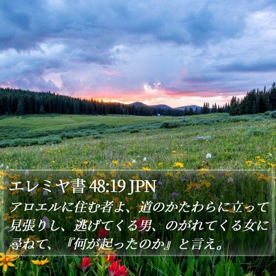 エレミヤ書 48:19 JPN Bible Verse Image