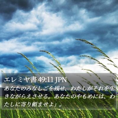 エレミヤ書 49:11 JPN Bible Verse Image