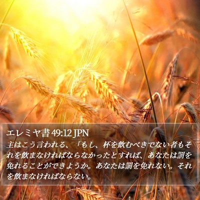 エレミヤ書 49:12 JPN Bible Verse Image