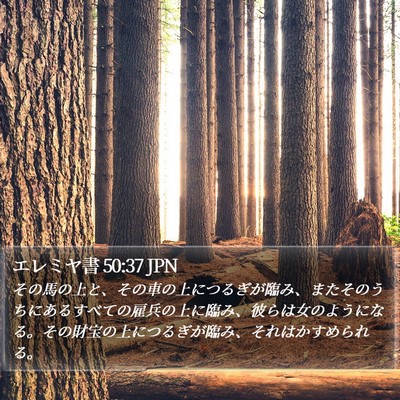 エレミヤ書 50:37 JPN Bible Verse Image