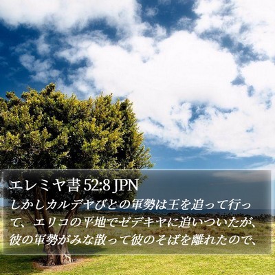 エレミヤ書 52:8 JPN Bible Verse Image